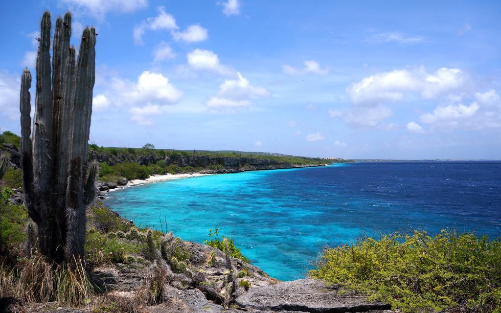 Dormio Bonaire Village חדר תמונה